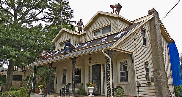 Best Storm Damage Roof Repair  in Fort Benton, MT